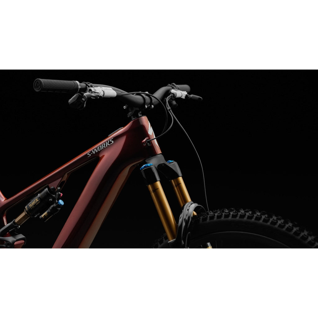 Specialized S-Works Turbo Levo 4